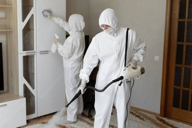 Trusted Sewage Cleanup service in Saint Clair, MO - Four Month Blood Cleanse